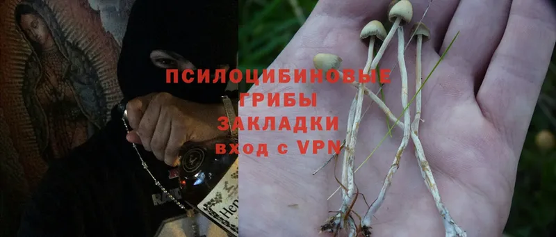 Псилоцибиновые грибы Magic Shrooms  нарко площадка клад  Волоколамск 